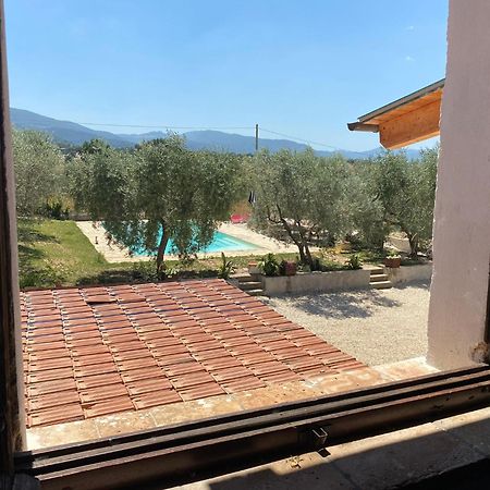 Agriturismo Uliveto Benedetti Spoleto Bagian luar foto