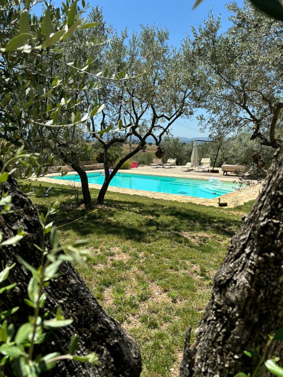 Agriturismo Uliveto Benedetti Spoleto Bagian luar foto